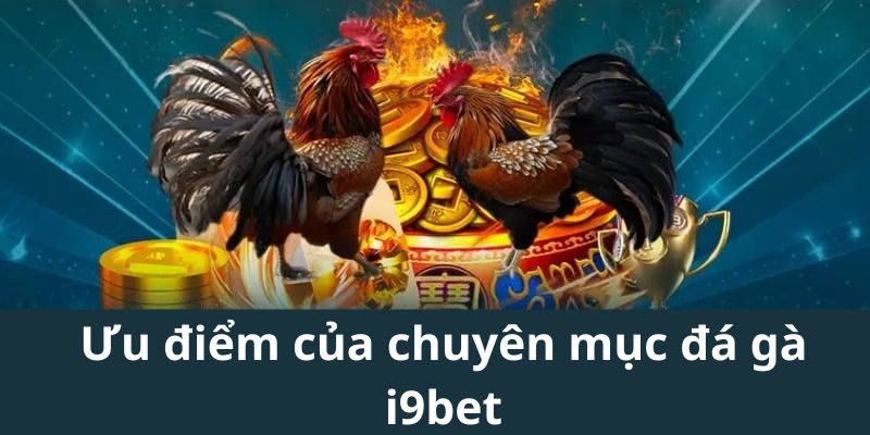 Ưu điểm của chuyên mục đá gà i9bet