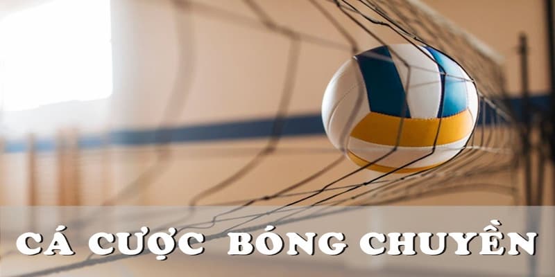 Tổng hợp các quy tắc cá cược bóng chuyền tại i9bet