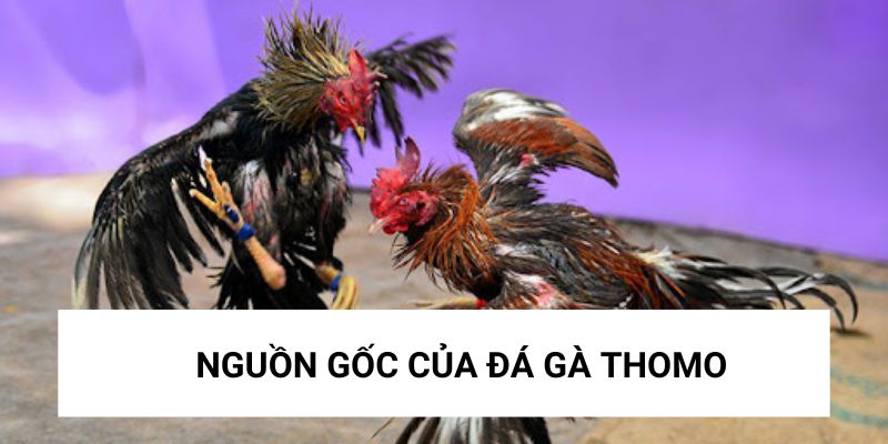 Loại hình này có nguồn gốc từ Campuchia